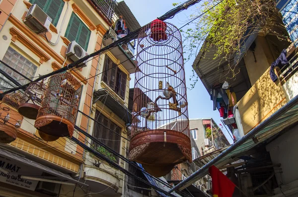 在街道河内老城区在笼子里的鸟。越南 — 图库照片
