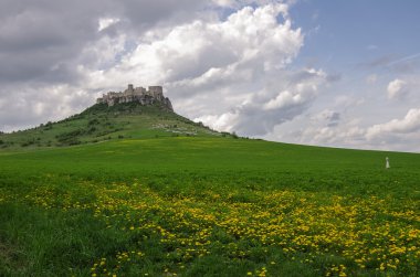 Çayır - Spissky hrad Ulusal C üzerinde çiçekli SPI Castle