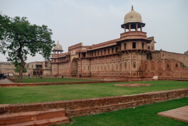 Agra, Hindistan'ın kırmızı kale duvarlarını. UNESCO Dünya Mirası Sit Alanı
