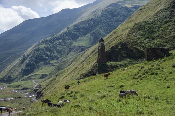Kafkas Dağları, Argun Kanyon. Shatili ile eski yol