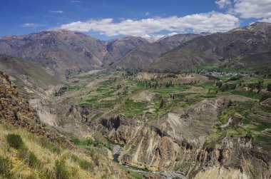 Colca Kanyonu Panoraması, Peru, Güney Amerika. İnkalar tarım teraslarının oluşturmak için.