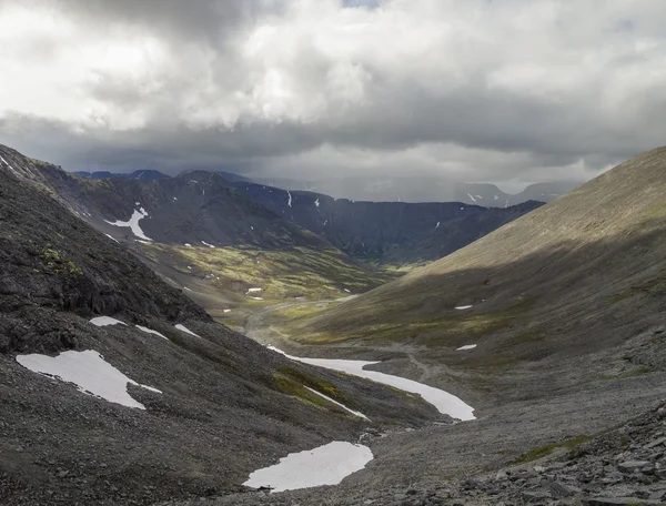 Yosun ve likenler ile kaplı kayalar ile dağ Vadisi.