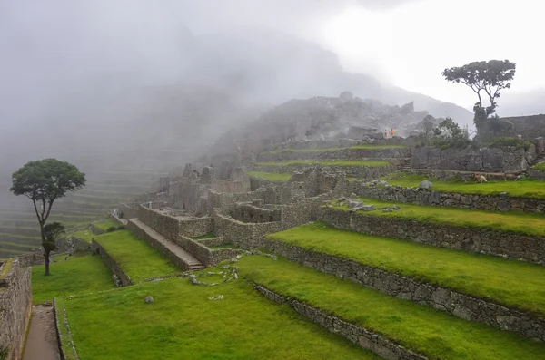 Vista de terrazas de la Ciudad Inca Perdida de Machu Picchu. Nubes bajas . — Foto de Stock