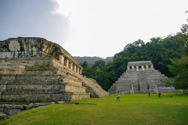 Palenque 'deki Maya harabeleri, Chiapas, Meksika.