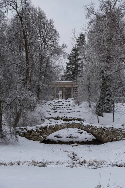 Apollo Colonnade Pavlovsk Park Winter Day Saint Petersburg Russia — Stock Photo, Image