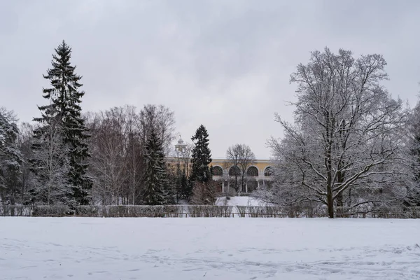 Paisaje Invierno Con Vistas Palacio Pavlovsk Desde Parque San Petersburgo —  Fotos de Stock