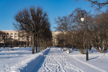 Smolny Park sokağı. Güneşli kış günü. St. Petersburg, Rusya.