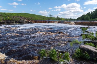 Tosno Nehri 'ndeki şelale. Akıntılı ve taşlı kıyıları var. Sablino. Leningrad bölgesi. Rusya.