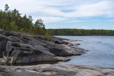 Great Ladoga Patikası 'ndaki Stony Gölü kıyısında. Leningrad bölgesi. Rusya.