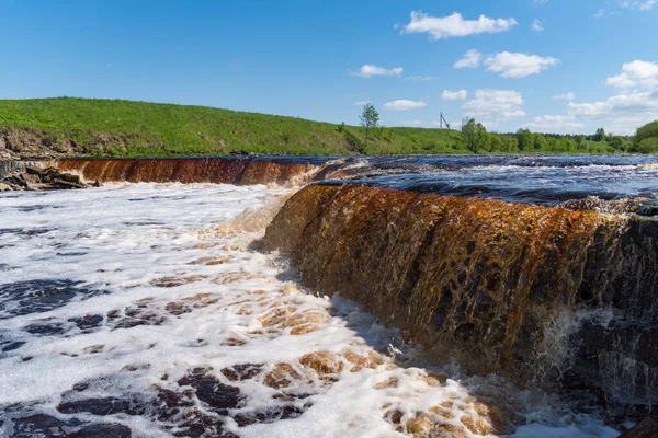Tosno Nehri 'ndeki şelale. Akıntılı ve taşlı kıyıları var. Sablino. Leningrad bölgesi. Rusya.