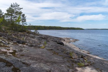 Ladoga 'lı Skerry. Great Ladoga Patikası 'ndaki Stony Gölü kıyısında. Leningrad bölgesi. Rusya.