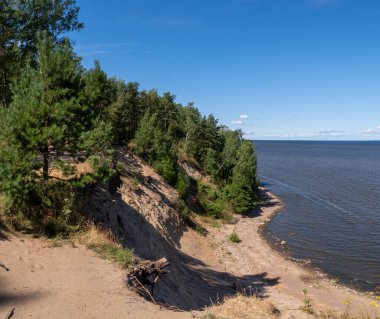 Panorama of the Gulf of Finland and a high 20-meter cliff near the Krasnaya Gorka fort. Settlement Fort Krasnaya Gorka, Lomonosov district, Leningrad region. Russia