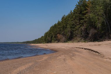 Rusya 'nın Leningrad bölgesindeki Ladoga Gölü' nün güney kıyısında, Chernoe köyüne yakın kumsalda..
