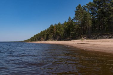 Rusya 'nın Leningrad bölgesindeki Ladoga Gölü' nün güney kıyısında, Chernoe köyüne yakın kumsalda..