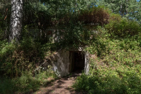 クラスナヤ ゴルカ砦 クラスナヤ ゴルカ の軍事史跡で130Mm砲台の地下に放棄された部分に入る — ストック写真