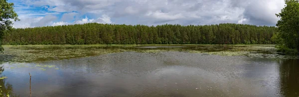 Bella Vista Panoramica Sul Lago Forestale Morozovskoe Cresta Vyaryamyanselkya Istmo — Foto Stock