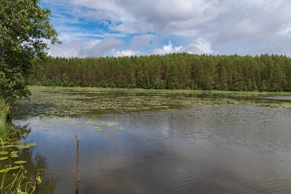 Belle Vue Panoramique Sur Lac Forestier Morozovskoe Crête Vyaryamyanselkya Isthme — Photo