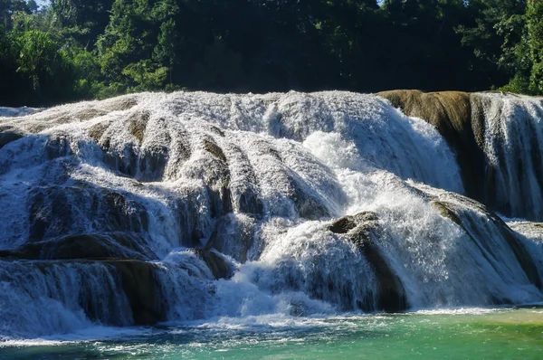 Vodopády Agua Azul, Chiapas, Mexiko — Stock fotografie