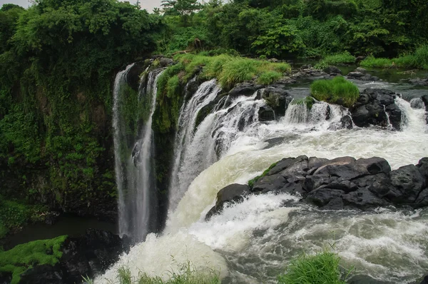 Vodopád Salto de Eyipantla, San Andres Tuxtla (Mexiko) — Stock fotografie