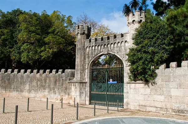 Ancienne porte avec une porte voûtée dans un jardin — Photo