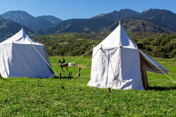 Acampamento em um pasto de montanha — Fotografia de Stock