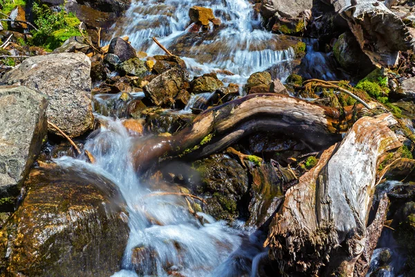 Tormentoso río de montaña con un tronco en primer plano —  Fotos de Stock