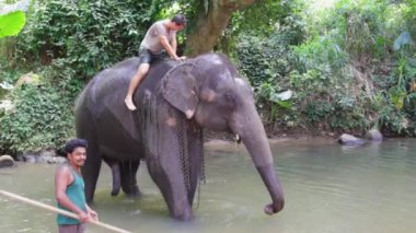 Kandy, Sri Lanka - 9 Ocak 2018. Fil suyun içinde duruyor ve üzerinde oturan bir turistin bagajından dökülüyor.