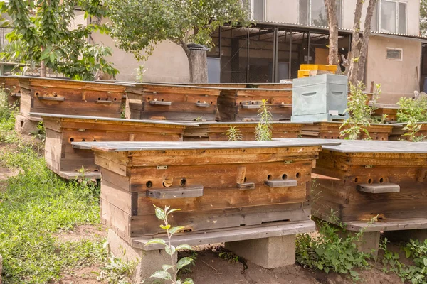 Bienenstock Mit Fliegenden Bienen Bienenhaus Garten Nahaufnahme — Stockfoto