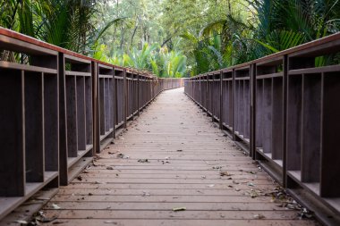 orman içinde ahşap köprü