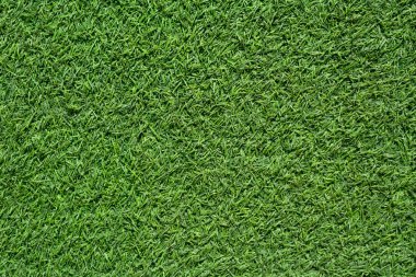 yeşil çim sorunsuz doku.