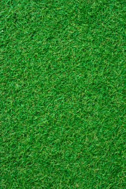 yeşil çim sorunsuz doku.