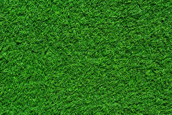 Groen gras naadloze textuur. — Stockfoto