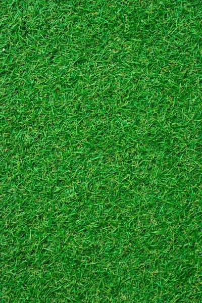 Texture sans couture herbe verte . — Photo