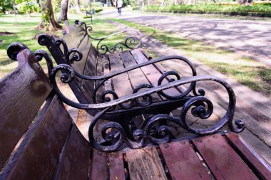 Sonbahar parkında bankta