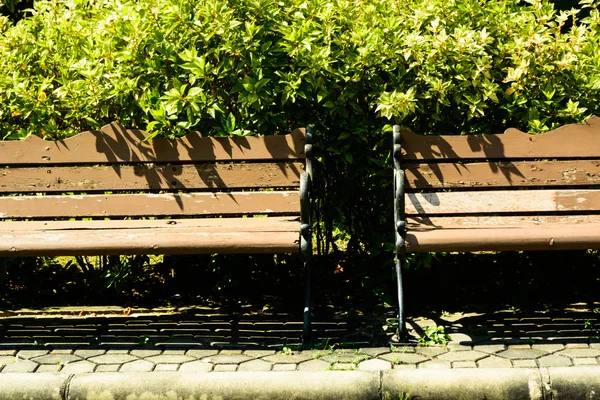 Bänk i höstparken — Stockfoto