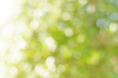 Soyut bokeh yeşil arka plan bulanıklık