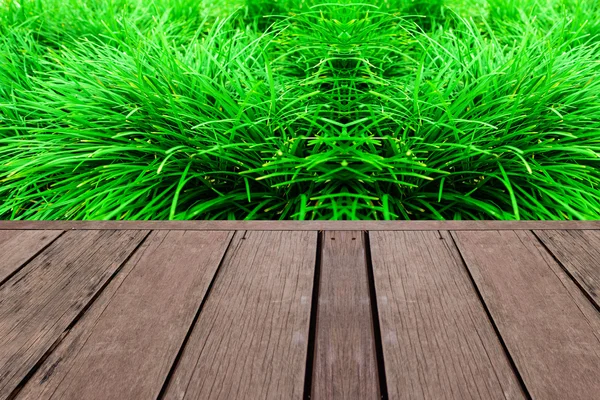 Panneau en bois et fond vert — Photo