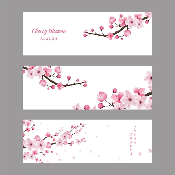 Cherry Blossom collectie, wenskaarten, naadloze textuur , — Stockvector