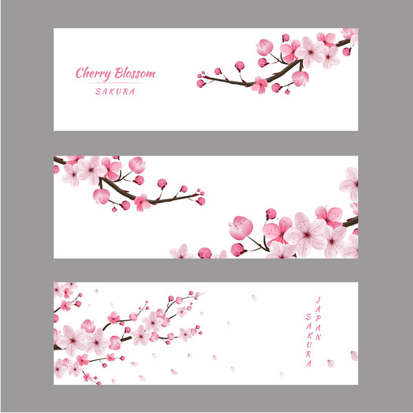 cherry blossom collection , greeting cards , seamless texture , 