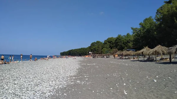 Abhazya 'daki merkez plajı, yazın Pitsunda' da..