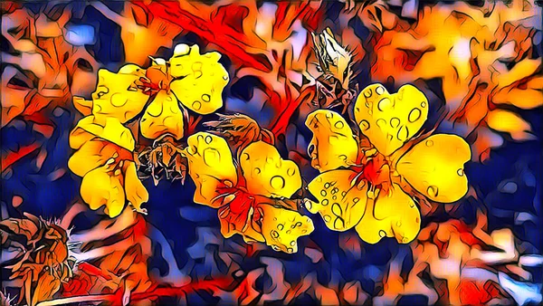 Flores Silvestres Amarelas Gramado Após Chuva — Fotografia de Stock