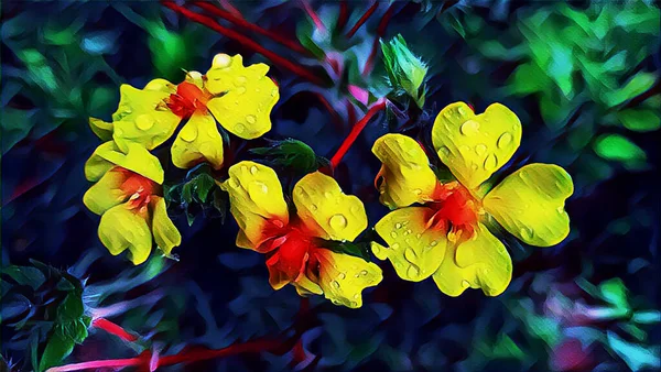 Žluté Květy Trávníku Dešti — Stock fotografie