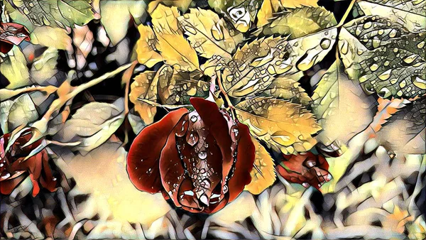 Bahçede yazın yağmurdan sonra kırmızı güller