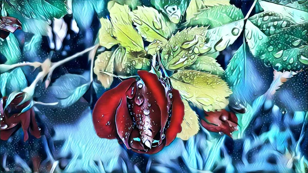 Bahçede yazın yağmurdan sonra kırmızı güller