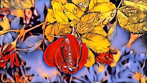 Красные Розы После Дождя Летом Саду — стоковое фото