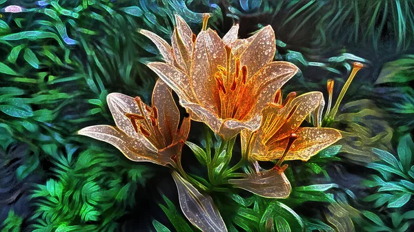 Pomerančové Lilie Dešťových Kapkách Létě Zahradě — Stock fotografie