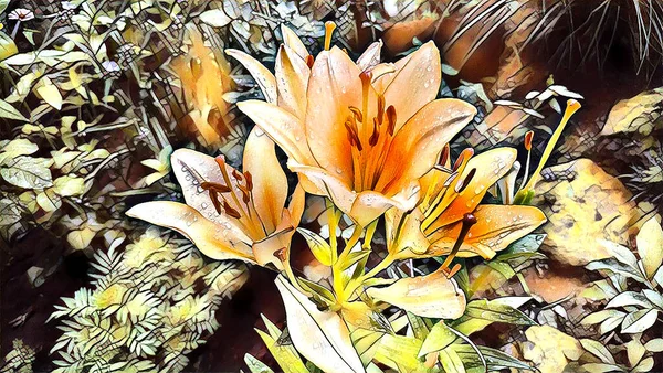 Orangefarbene Lilien Regentropfen Sommer Garten — Stockfoto
