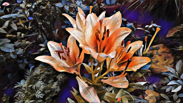 Orangefarbene Lilien Regentropfen Sommer Garten — Stockfoto