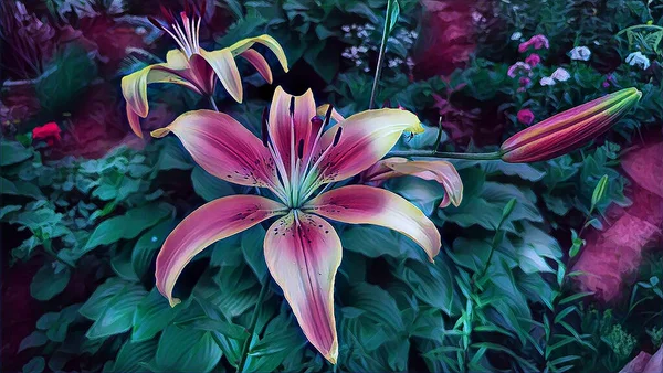 Bahçede bir yaz gecesinde pembe zambak