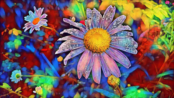 Yazın yağmurdan sonra beyaz papatya çayı